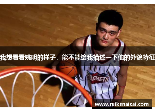 我想看看姚明的样子，能不能给我描述一下他的外貌特征